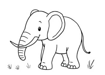 Elefant Ausmalbild