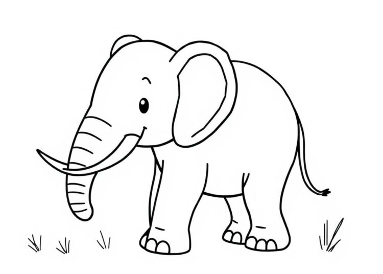 Elefant Ausmalbild