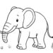 Elefant Ausmalbild